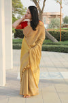 Tissue Linen Sarees